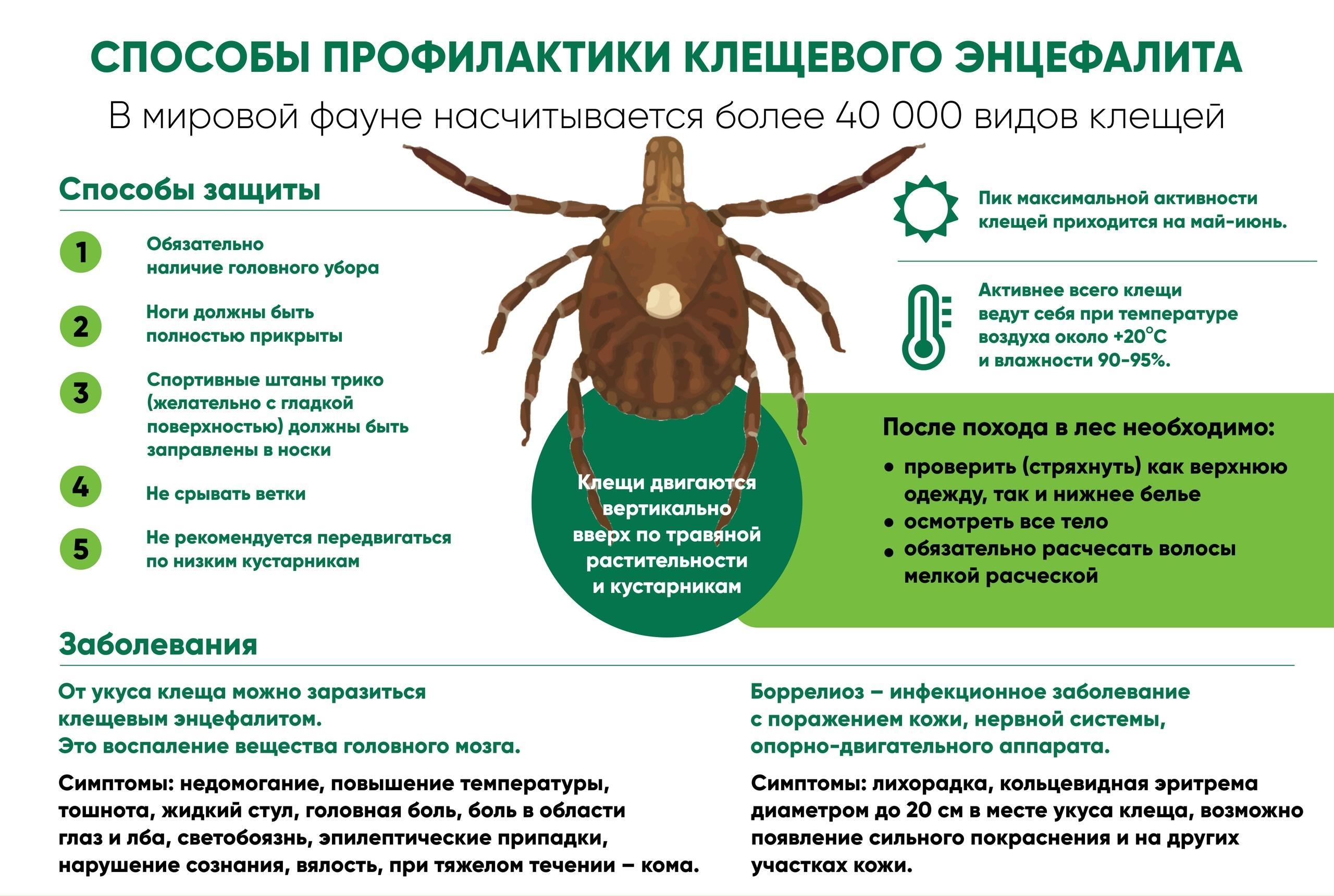 Меры профилактики клещевых инфекций.