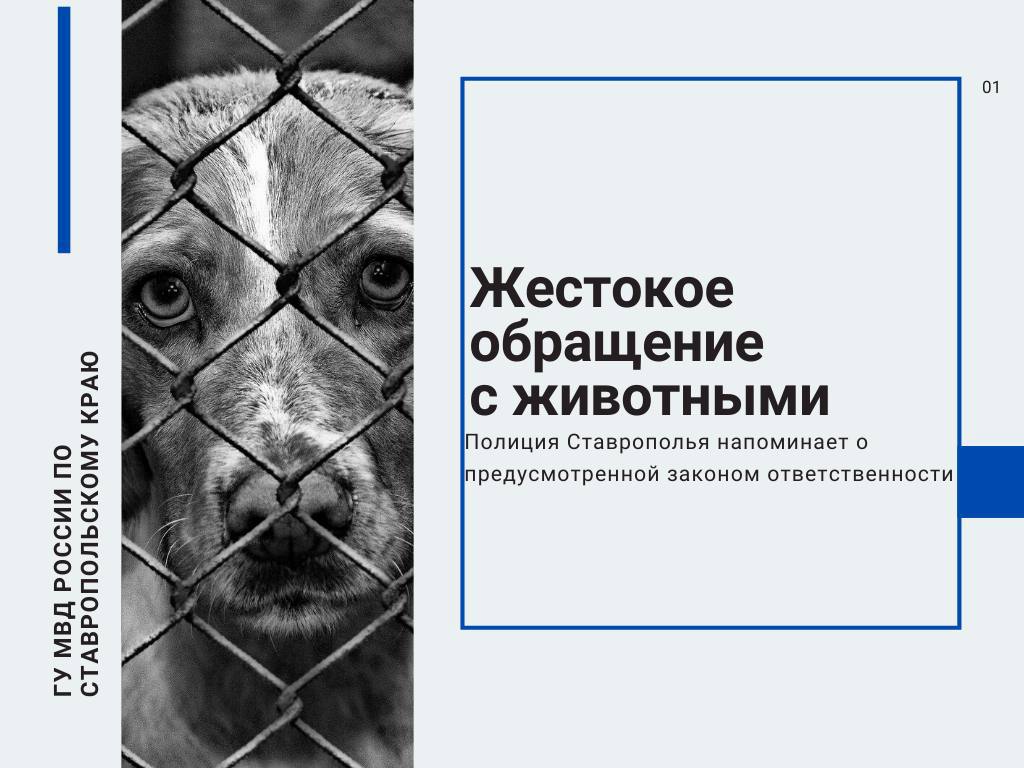 Полиция Ставрополья напоминает о предусмотренной законом ответственности за жестокое обращение с животными.