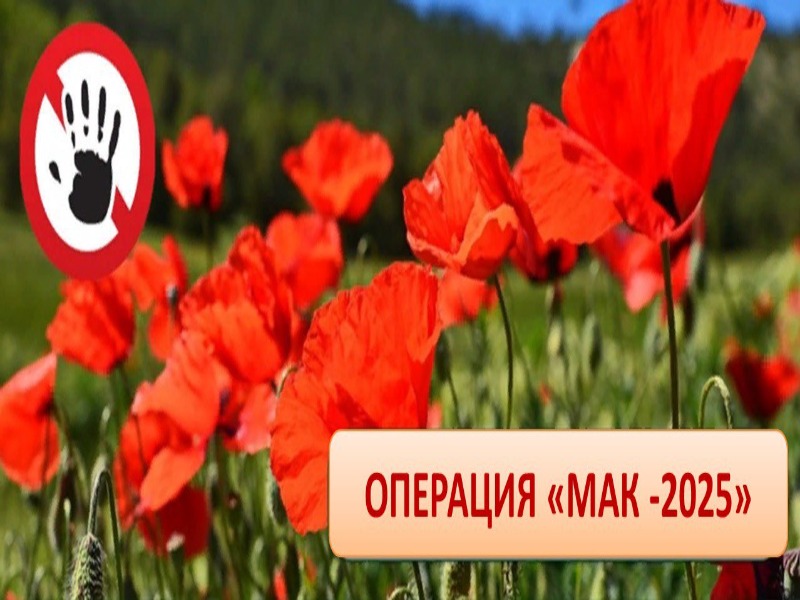 В Петровском муниципальном округе проходит оперативно-профилактическое мероприятие «МАК-2025».