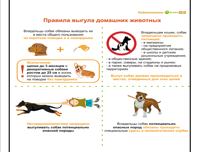 Об ответственности за несоблюдение дополнительных требований к содержанию и выгулу домашних животных.