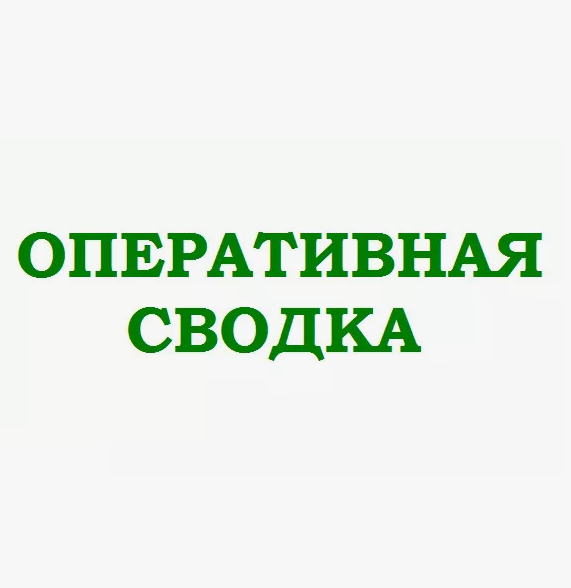 Глава Петровского муниципального округа Н.В.Конкина:  &quot;В Петровском муниципальном округе сохраняется чрезвычайная пожароопасность&quot;.