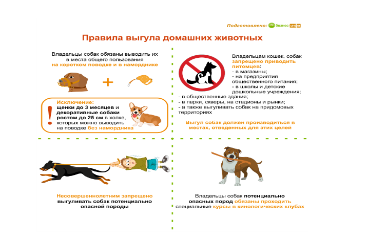 Статья 2.10. Несоблюдение дополнительных требований к содержанию и выгулу домашних животных.