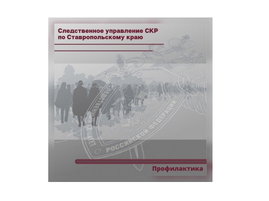Следственное управление информирует граждан об ответственности за участие в организации незаконной миграции.