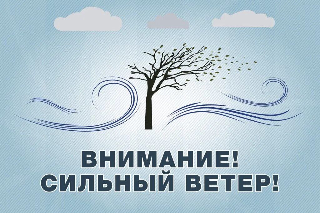 8 февраля в Ставропольском крае ожидается сильный ветер 30-32 м/с.