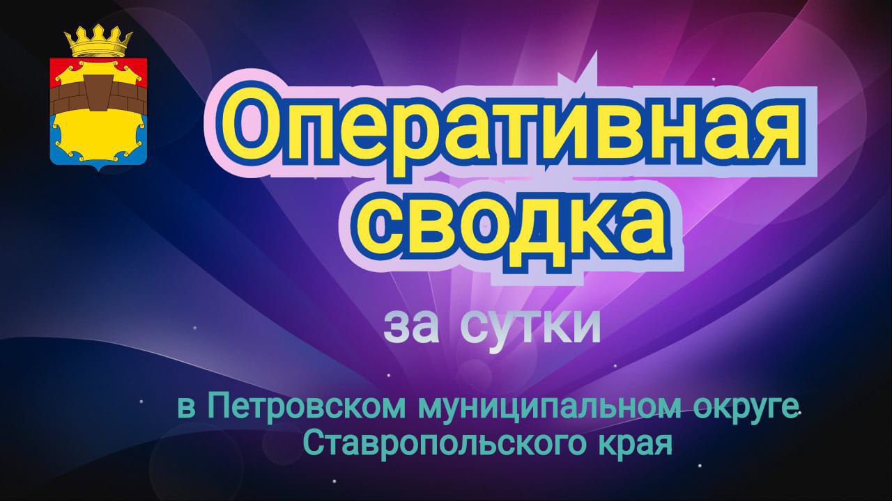 Оперативная сводка за прошедшие сутки по Петровскому округу.