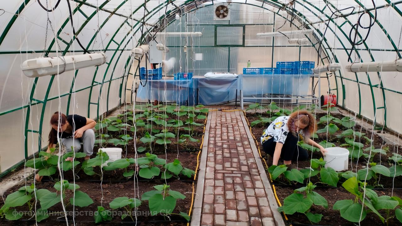 На Ставрополье продолжается оснащение школ современным оборудованием.