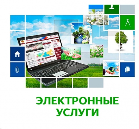 Управление Росреестра по Ставропольскому краю информирует об электронных услугах и сервисах Росреестра.