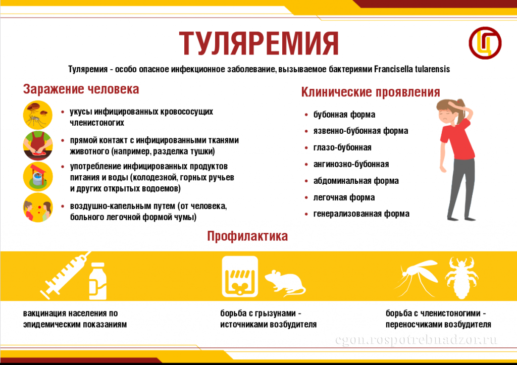 Профилактика туляремии.
