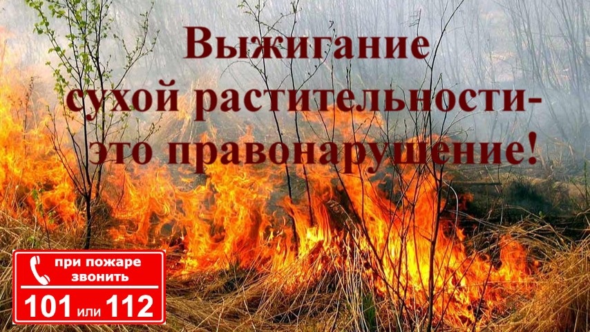 Россельхознадзор - о пожарной безопасности, недопустимости сжигания стерни.