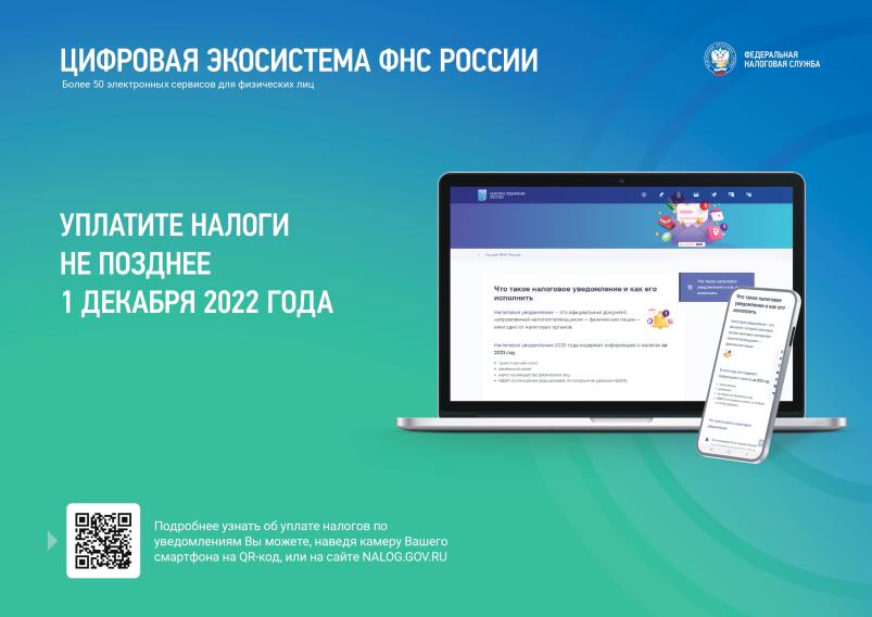 Уплатить имущественные налоги необходимо до 1 декабря.