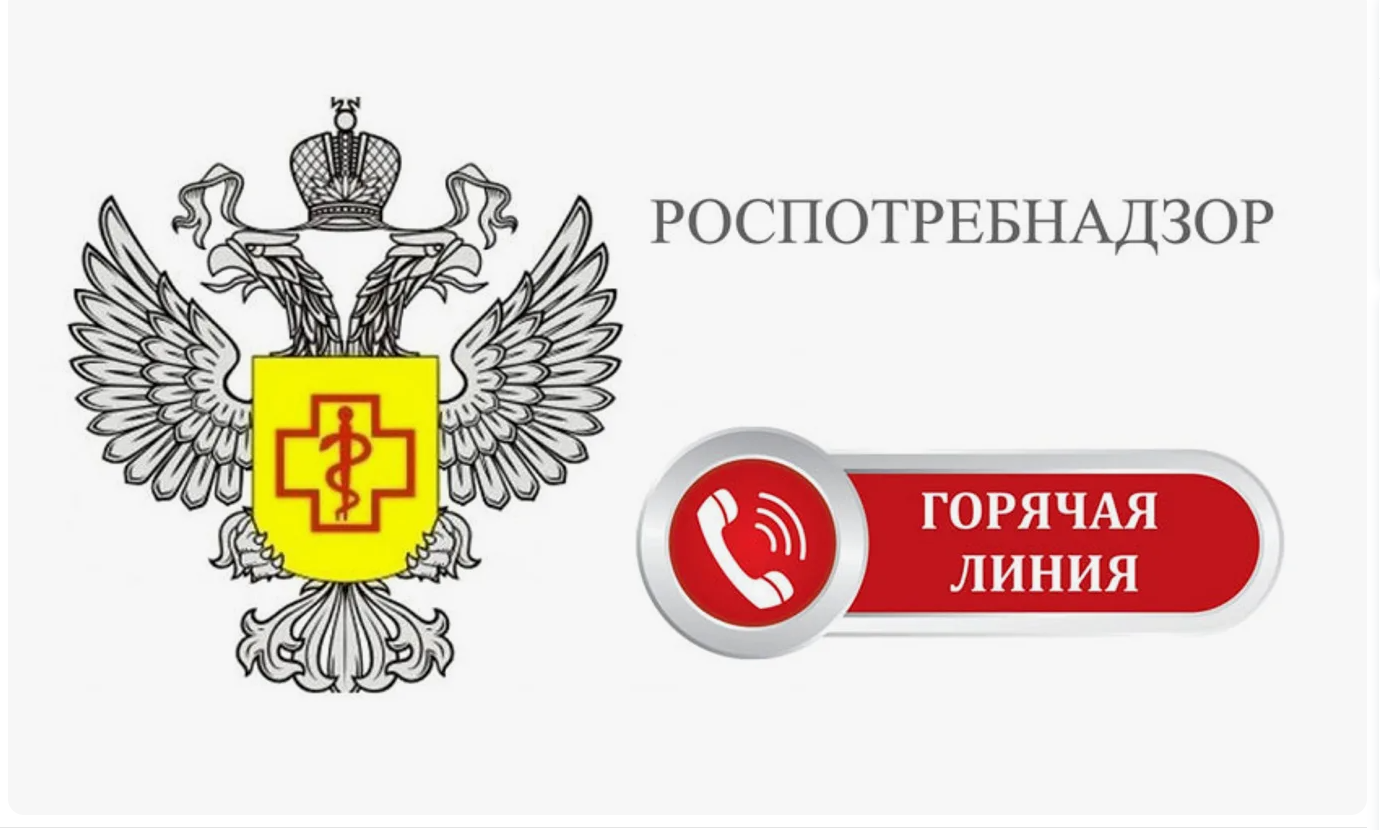 «Горячая линия» по вопросам качества, безопасности детских товаров, выбору новогодних подарков.