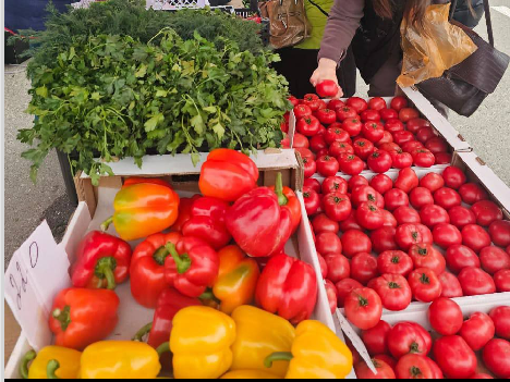 Ставропольские производители презентовали свою продукцию в Санкт-Петербурге.