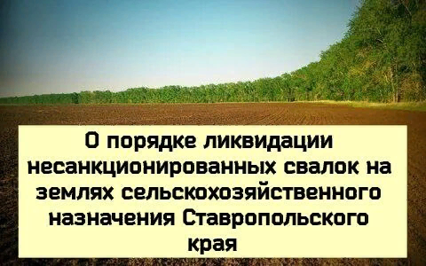 На территории Ставрополья установлено 336 фактов размещения ТКО на землях сельхозназначения на площади около 580 га.