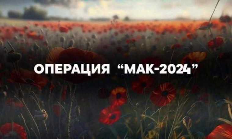 В Петровском муниципальном округе проходит оперативно-профилактическое мероприятие «МАК-2024». В Петровском муниципальном округе проходит оперативно-профилактическое мероприятие «МАК-2024».