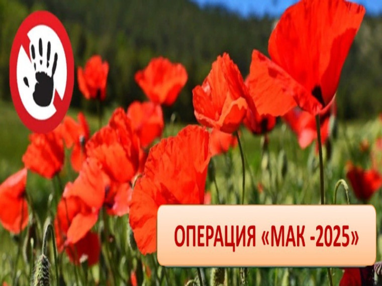 В Петровском муниципальном округе проходит оперативно-профилактическое мероприятие «МАК-2025». В Петровском муниципальном округе проходит оперативно-профилактическое мероприятие «МАК-2025».